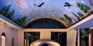 Kids Play Area LED Ceiling