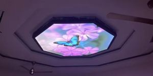 Office Stretch Ceiling