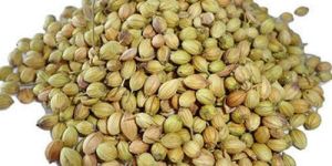 Coriander Seeds