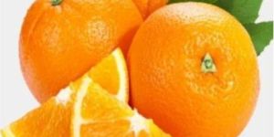 Fresh Natural Orange