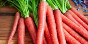 Fresh Red Carrot