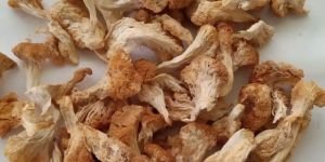 Dried Lions Mane Mushroom