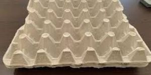 White 30 Pack Paper Egg Tray