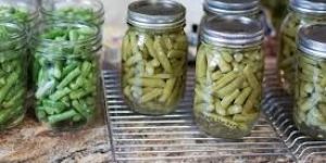 Canned French Beans