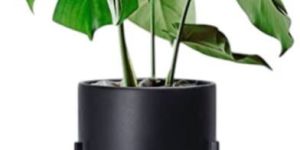 IR1003BK Iron Floor Planter