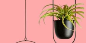 IR1033WPB Iron Hanging Planter