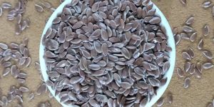 Flax Seeds