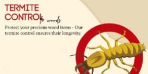 Ants Control Services