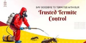 Bed Bug Pest Control Services