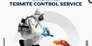 Cockroach Control Services