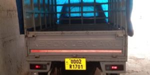 Transportation Services