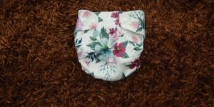 Cloth Diaper