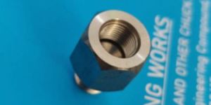 Stainless Steel Hex Nuts