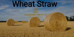 Wheat Straw