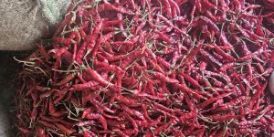 Dry Red Chilli