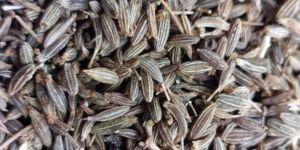 Cumin Seeds