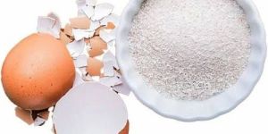 Egg Shell Powder