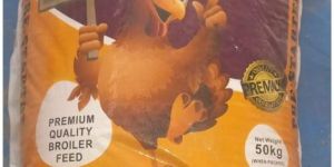 Paga Pallets Poultry Feed