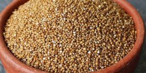 Kodo Millet Seeds