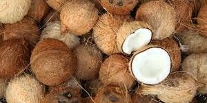 Coconut
