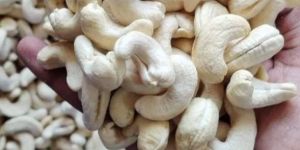 Cashew Nuts