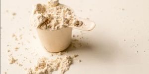 Chocolate Whey Protein Concentrate Powder