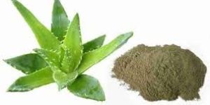 Organic Aloe Barbadensis Miller
