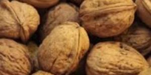 Organic Walnuts