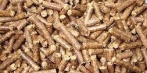 Biomass Pellet