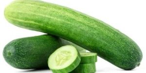 Fresh Cucumber