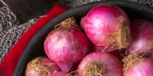 Red Onion