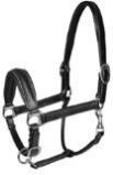 Horse Halters