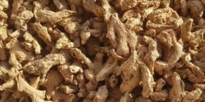 Dry Ginger