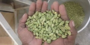 Green Cardamom