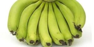 Fresh Green Banana