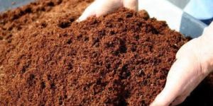 Coir Pith