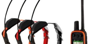 New Garmin Alpha 100 Alpha TT15 Collar
