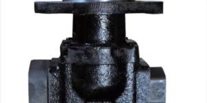 Cast Iron Pristine Model Pump