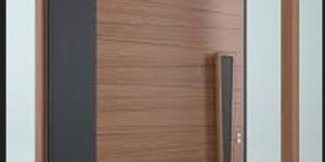 Wooden Flush Door