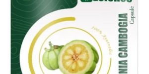 Garcinia Cambogia