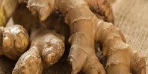 Dry Ginger