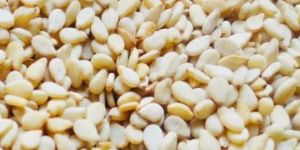 Sesame Seeds