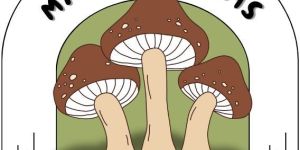 Dried Oyster Mushroom Powder