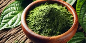 Betel Leaf Powder