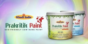 Khadi Prakritik Primer