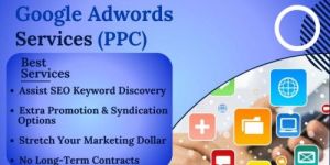 Pay-Per-Click Advertising Management