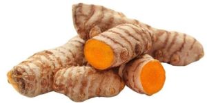 Ginger