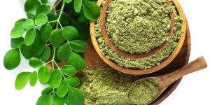 Moringa Powder