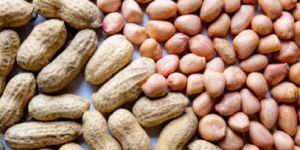 Whole Farm Premium Raw Peanuts