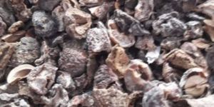 Envigold Dried Seedless Amla